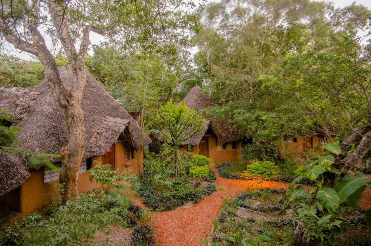 Distant Relatives Ecolodge & Backpackers Kilifi Kültér fotó