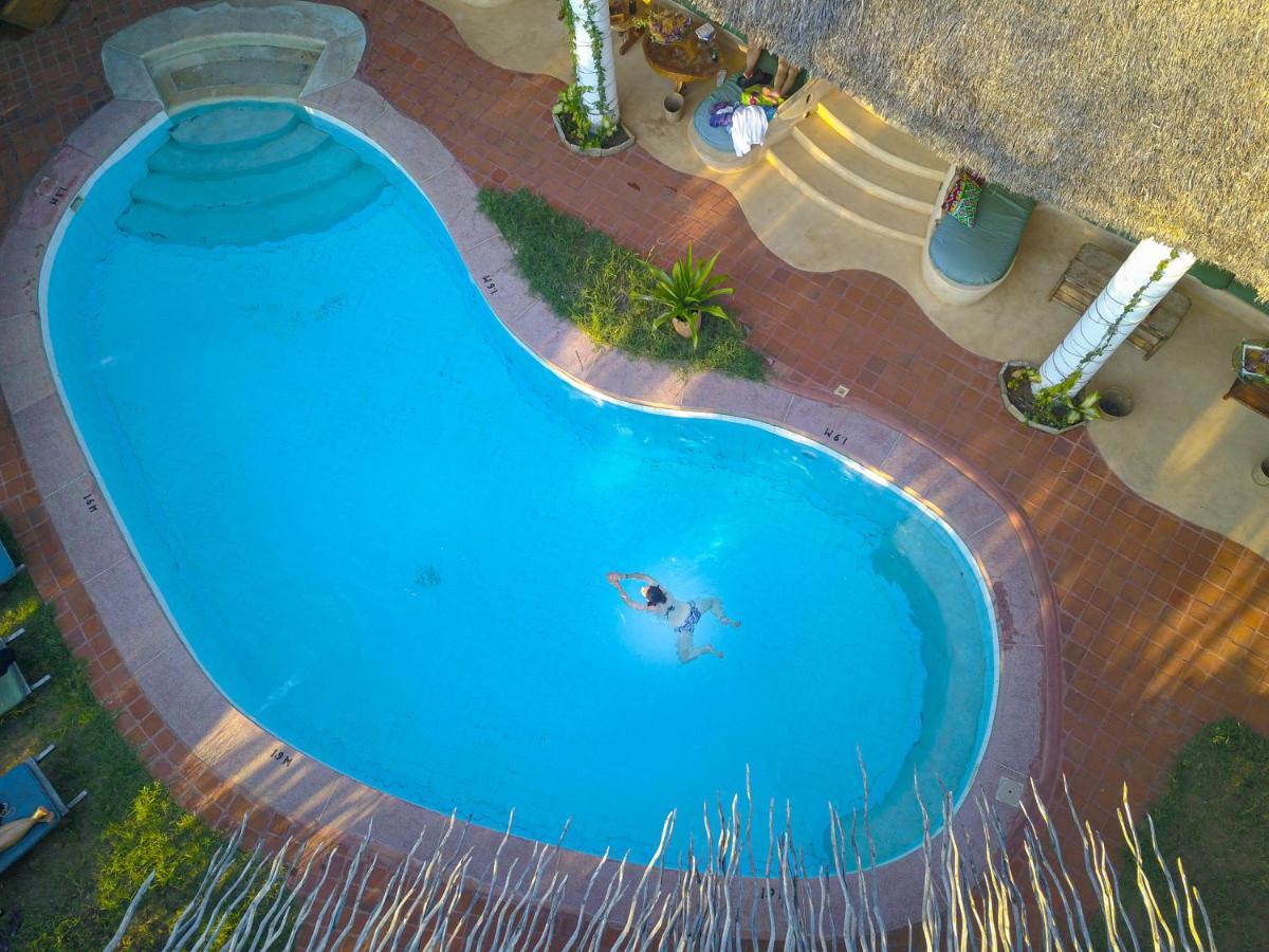 Distant Relatives Ecolodge & Backpackers Kilifi Kültér fotó