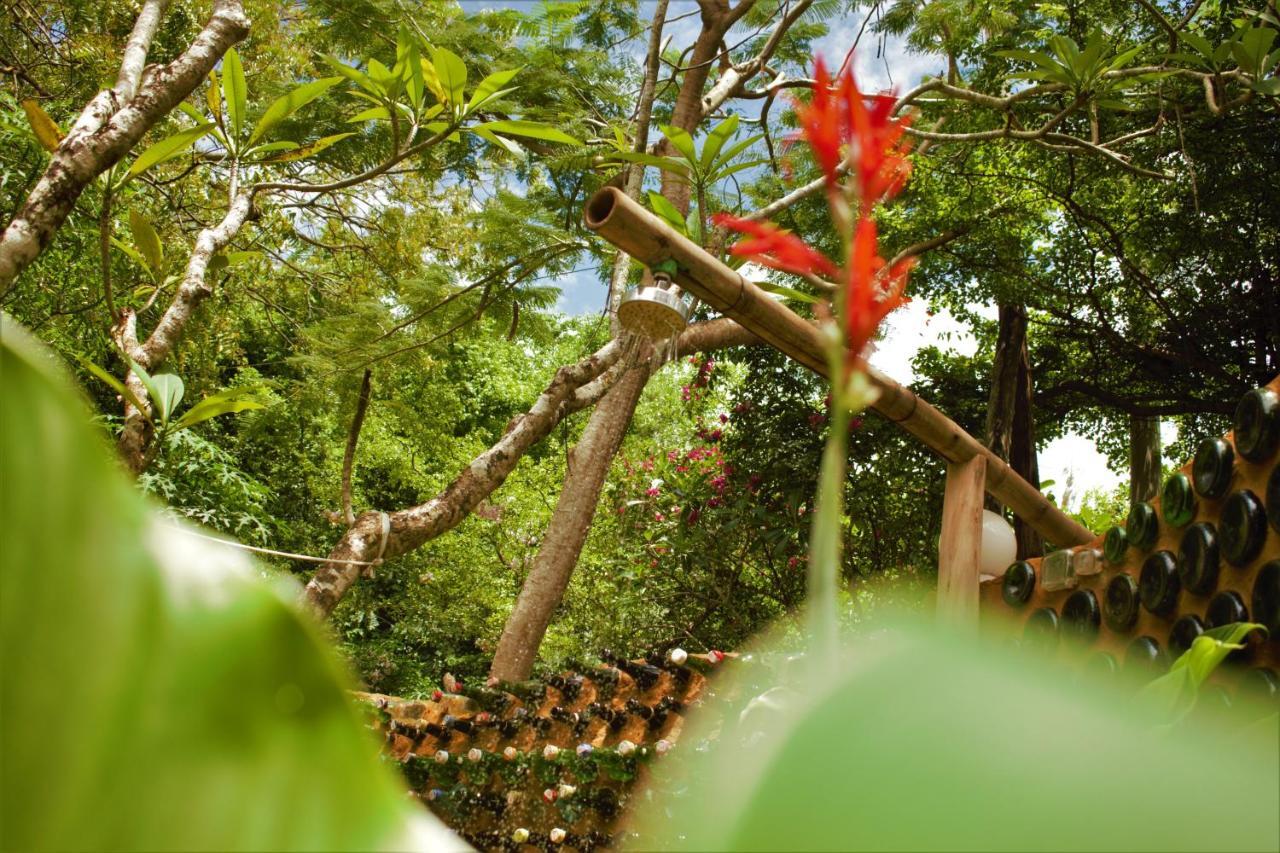 Distant Relatives Ecolodge & Backpackers Kilifi Kültér fotó